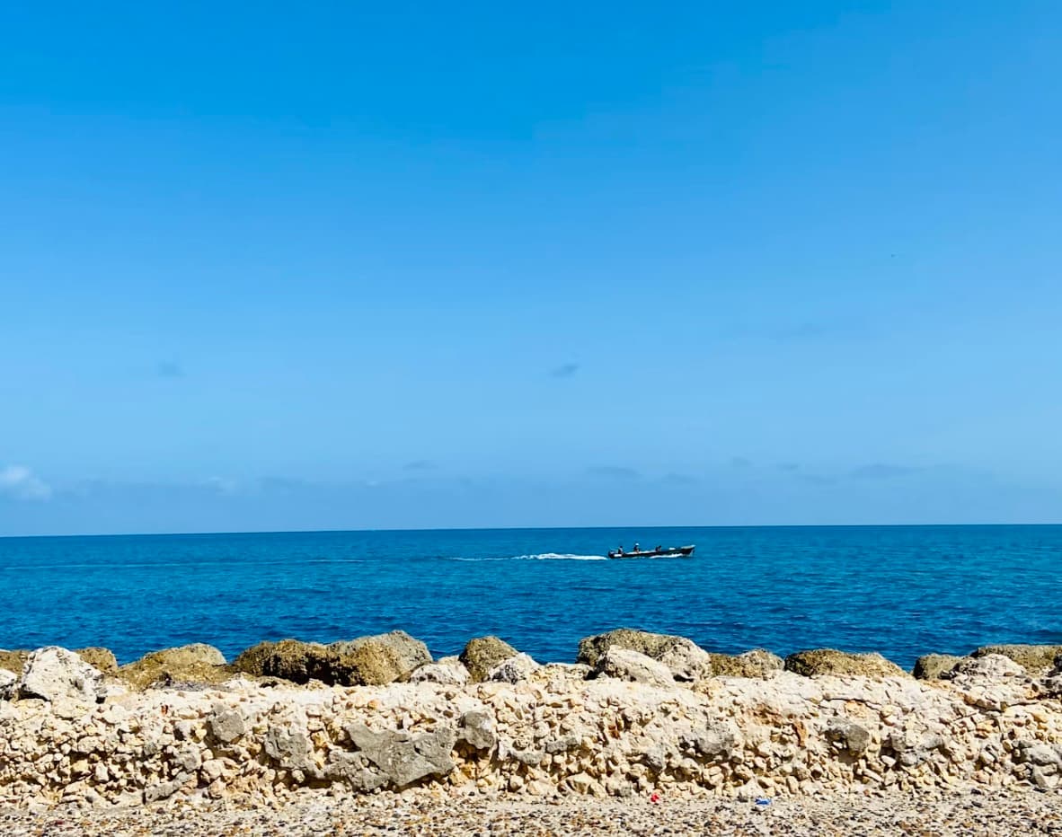 Preparación de ceviche fresco en venue de playa en Tierra Bomba